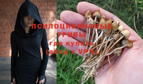 кокаин Бородино