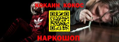 бошки Кингисепп