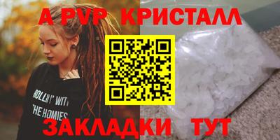 бошки Кингисепп