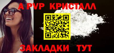бошки Кингисепп