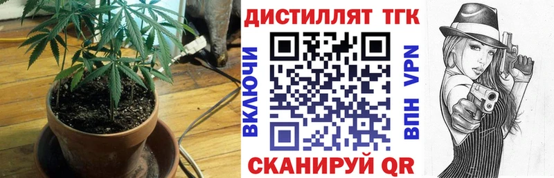 купить закладку  Северобайкальск  Дистиллят ТГК гашишное масло 