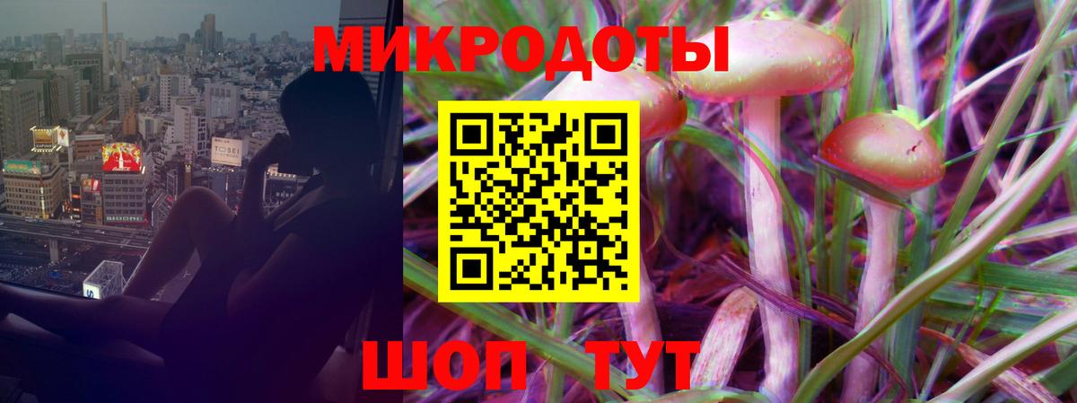 Псилоцибиновые грибы MAGIC MUSHROOMS Северобайкальск