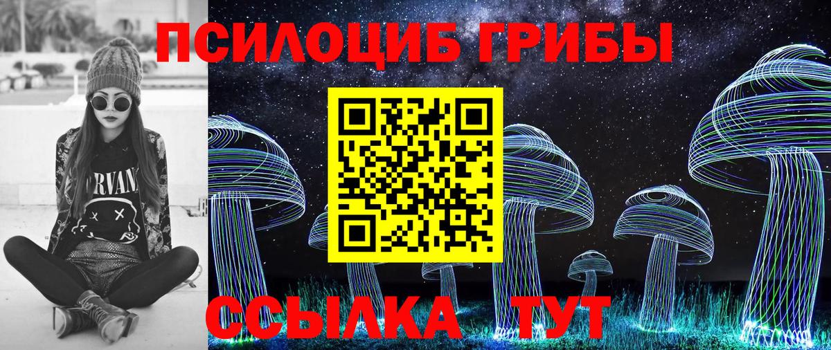 Псилоцибиновые грибы Magic Shrooms  Вход с VPN  Северобайкальск 